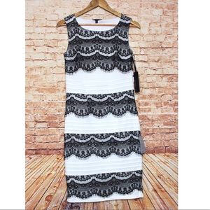 Felicity & Coco | White Black Lace Bodycon Dress